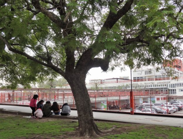 Hospital Pediatria Garrahan Espacios verdes